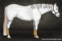 Horse Color:Brown Pearl Dun Sabino Splash 