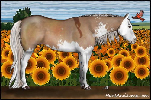Horse Color:Silver Brown Dun Sabino Splash 