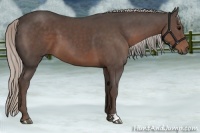 Horse Color:Silver Black 