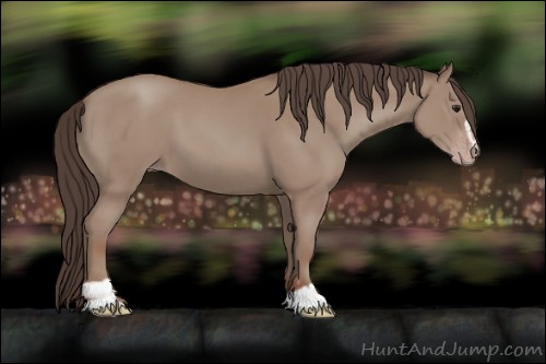 Horse Color:Classic Champagne Sabino 