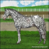 Horse Color:Liver Chestnut Mushroom Snowflake Varnish