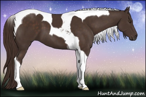 Horse Color:Liver Chestnut Tobiano 