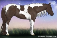 Horse Color:Liver Chestnut Tobiano 