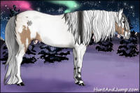 Horse Color:Brown Dun Sabino Splash Tobiano Rabicano and Gray Brown Dun Splash