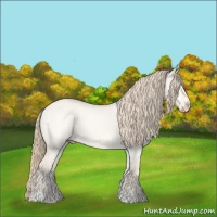 Horse Color:Perlino Roan Dun Sabino
