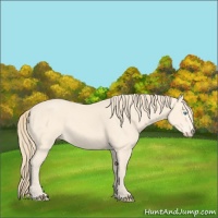 Horse Color:Perlino Sabino 