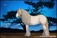 Horse Color:Perlino 