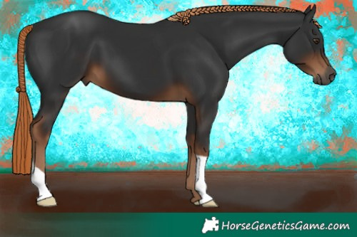 Horse Color:Gray Liver Chestnut
