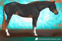 Horse Color:Gray Liver Chestnut