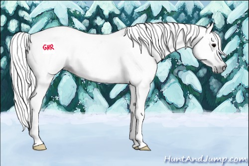 Horse Color:Gray Black 