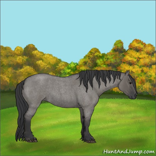 Horse Color:Grullo Roan