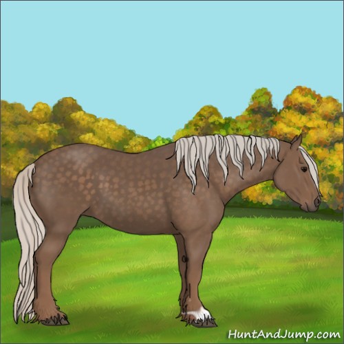 Horse Color:Silver Black