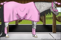 Horse Color:Grullo Ice Roan 