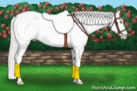 Horse Color:Silver Amber Champagne Roan Dun Splash Tobiano Frame Blanket Rabicano 