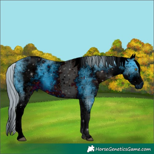 Horse Color:ERROR: UNKNOWN ANOMALY