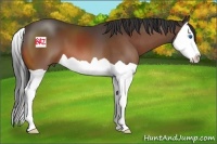 Horse Color:Brown Splash 
