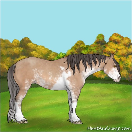 Horse Color:Amber Champagne Sabino 