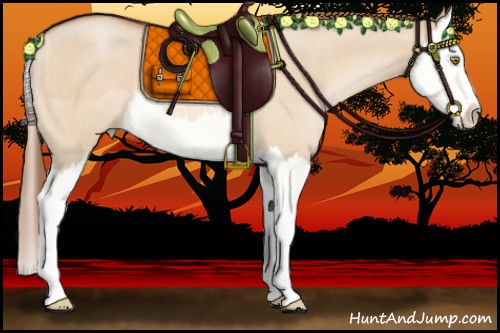 Horse Color:Bay Pearl Dun Splash Rabicano 