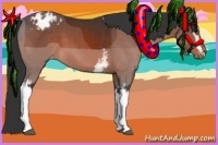 Horse Color:White Spotted Bay Appaloosa