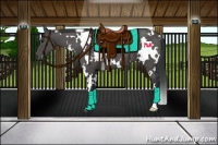 Horse Color:White Spotted Black 