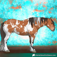 Horse Color:White Spotted Bay 