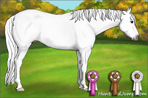 Horse Color:Gray White Spotted Bay Varnish