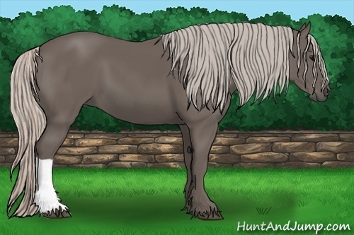 Horse Color:Silver Black 