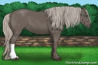 Horse Color:Silver Black 