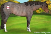 Horse Color:Liver Red Roan Rabicano