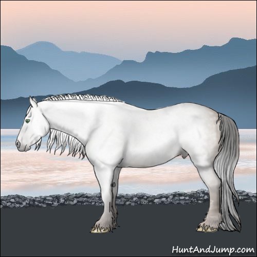 Horse Color:Gray Amber Champagne 