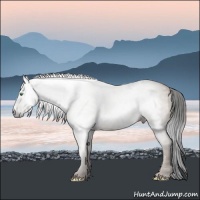 Horse Color:Gray Amber Champagne 