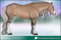 Horse Color:White Spotted Silver Brown Dun 