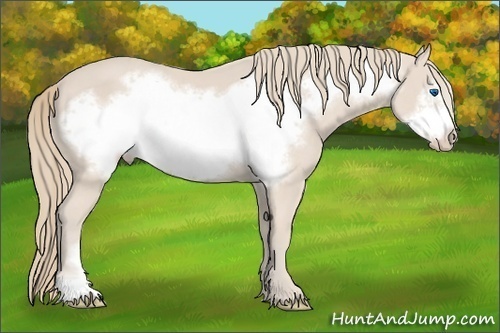 Horse Color:Smoky Creme Frame 