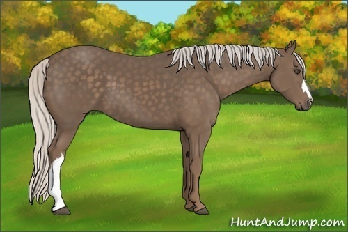 Horse Color:Silver Black 