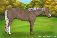 Horse Color:Silver Black 