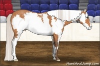 Horse Color:White Spotted Silver Bay Frame 