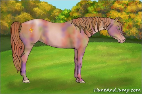 Horse Color:Nacre Gold Champagne 