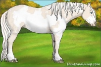 Horse Color:White Spotted Cremello Frame 