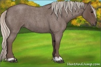 Horse Color:Silver Blue Roan 