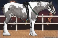 Horse Color:Smoky Blue Ice Roan Tobiano