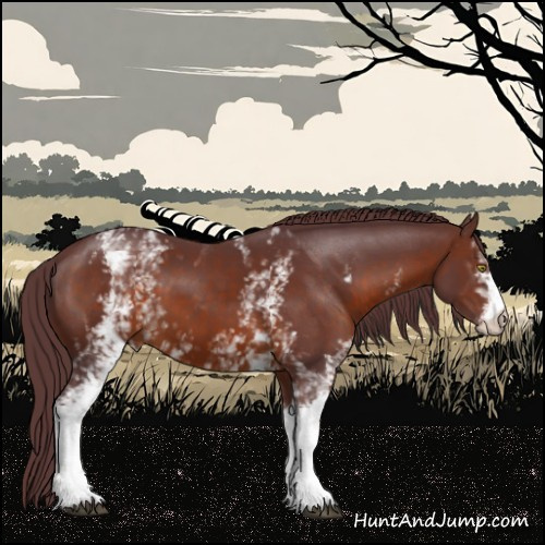 Horse Color:White Spotted Chocolate Brown