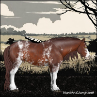 Horse Color:White Spotted Chocolate Brown 