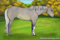 Horse Color:Watercolor Silver Bay 