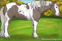 Horse Color:Silver Blue Roan Splash Tobiano