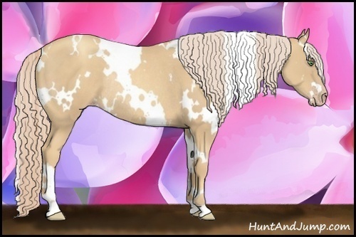 Horse Color:White Spotted Gold Cream Champagne Rabicano