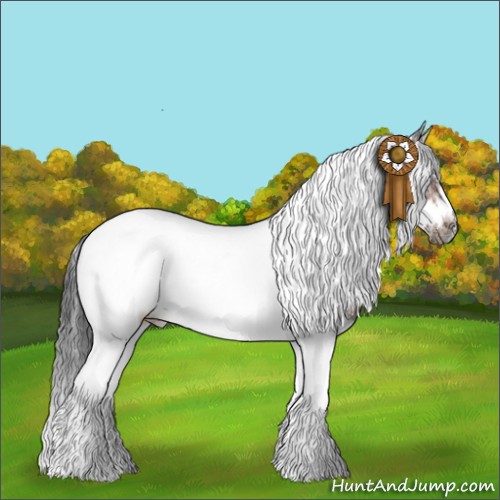 Horse Color:Bay Splash Tobiano Frame 