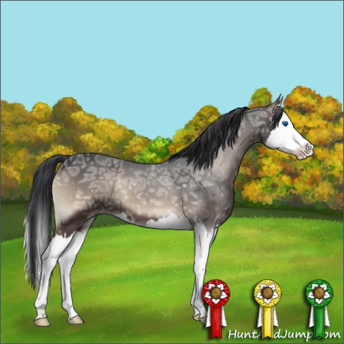 Horse Color:Blue Onyx Ice Sabino Splash