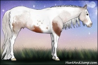 Horse Color:Silver Bay Sabino Splash Tobiano Varnish