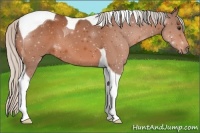 Horse Color:Silver Brown Tobiano 