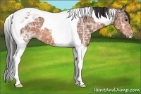 Horse Color:Bay Ice Tobiano 